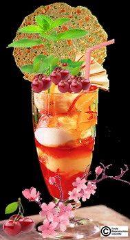 sorbet a la cerise bio